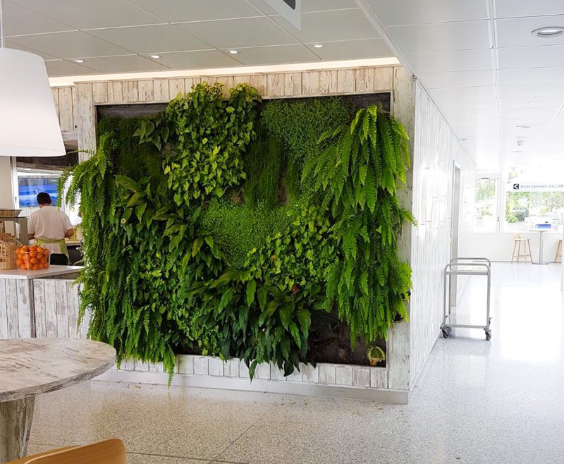 construction-exotique-menuiserie-geneve-lausanne-projet-Mur-vegetal-hopital-universitaire-geneve-HUG-restaurant-geneve-GD